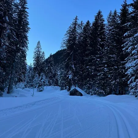 Apartmán Hasliview Innertkirchen