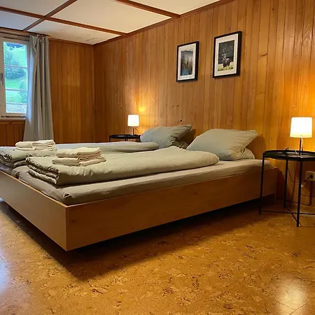 Hasliview Apartmán Innertkirchen