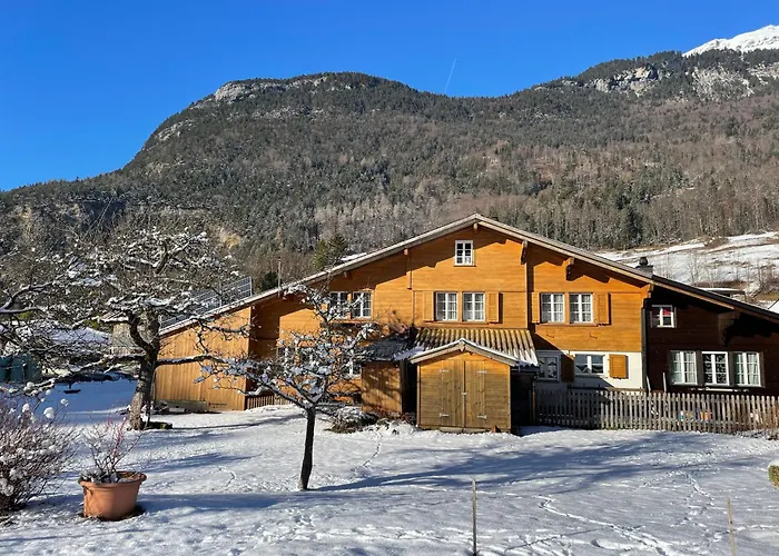Appartement Hasliview *