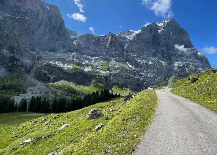 Hasliview Appartement *