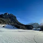 Hasliview *