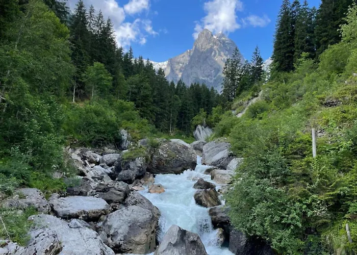 Hasliview דירה *