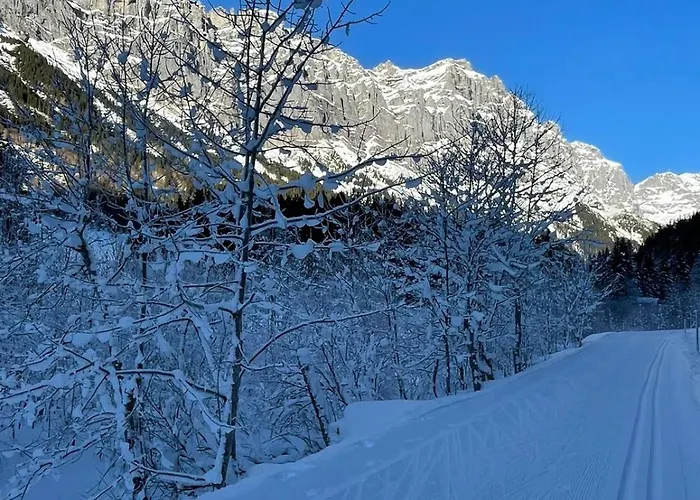 דירה Hasliview אינרטקירכן